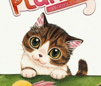 Plum, un amour de chat