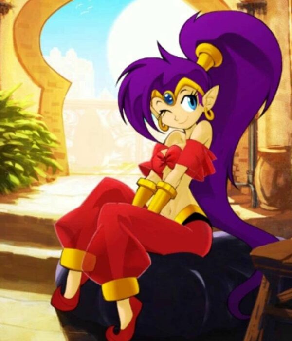 Shantae : Risky's Revenge